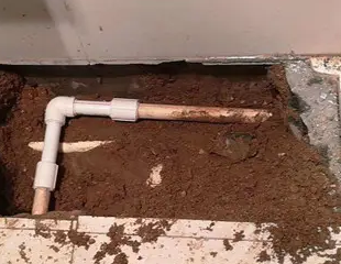 崇阳测漏水哪家好