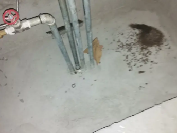 崇阳卫生间测漏水价格明细