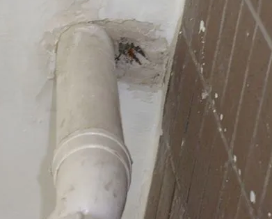 崇阳漏水检测哪家好